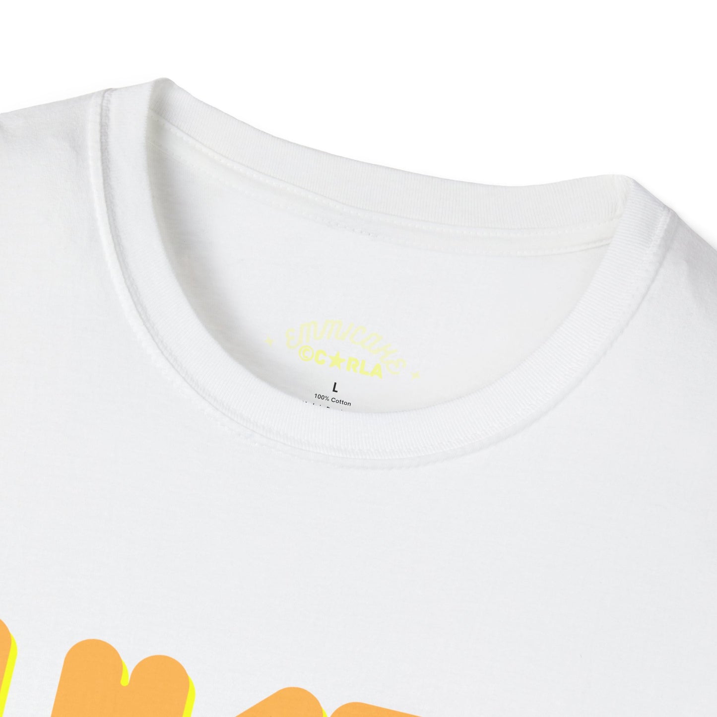 I Hate Fake Blondes T-Shirt